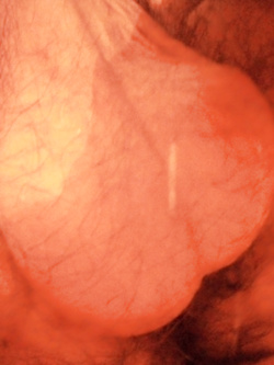 Un po di me Parte 43