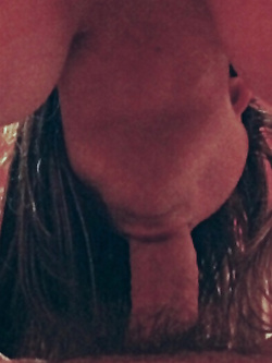 Ancora la mia troia...