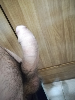 CAZZO PRONTO PER REGALARE PIACERE A DONNE