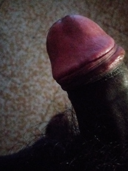 EREZIONE SERALE