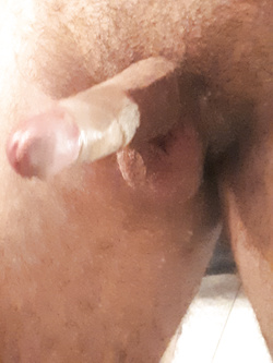 Cazzo da moscio a duro