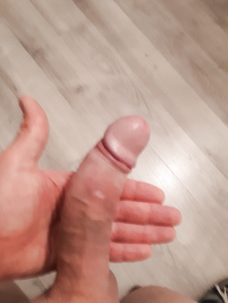 IL MIO PALO...