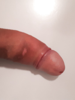 IL MIO PALO...