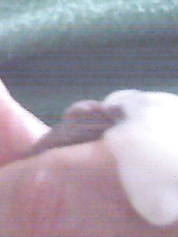 il mio amico Parte 7