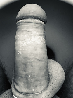 Pelato