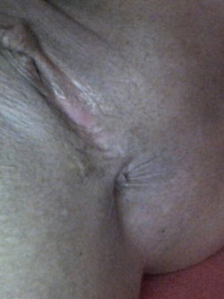 La troia 6