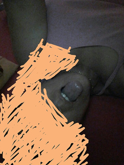 La troia 8