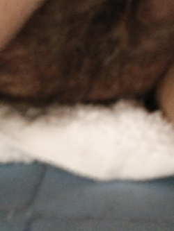 Mia moglie e io
