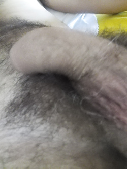 Il mio uccello Parte 2