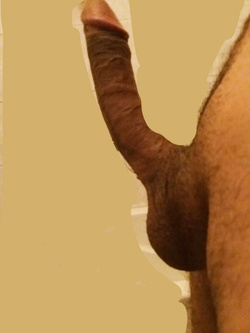 Cazzo