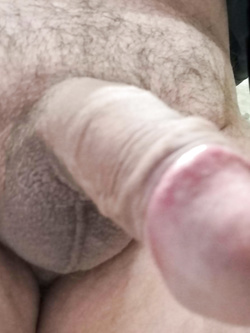 Il Mio cazzo 2