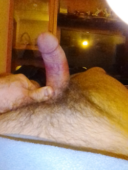 Fungo domestico