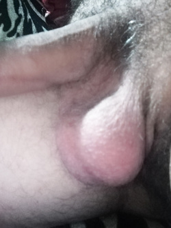 Che spettacolo...!