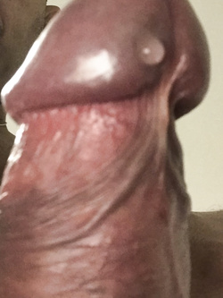 Verga 2