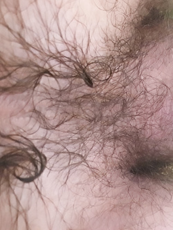 Foto del mio culo aperto