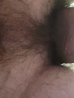 Foto del mio culo aperto