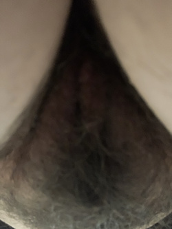 Il culo accogliente di mia moglie