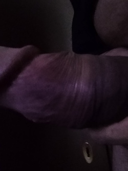 Il mio cazzo per cavalcare