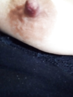 Porca Parte 16