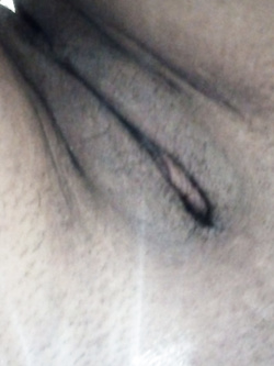 Porca Parte 16