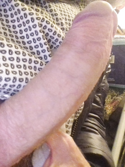 Cerco donna