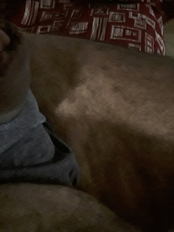 Cazzo mio