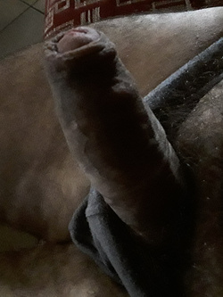 Cazzo mio