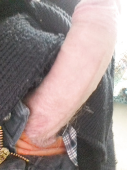 Ancora il mio cazzo Parte 2