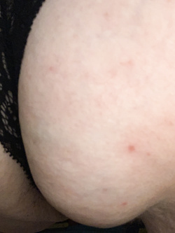 Troia vogliosa