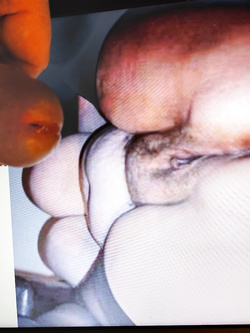 Forse si convince di piacere... Grazie "tributoman" !