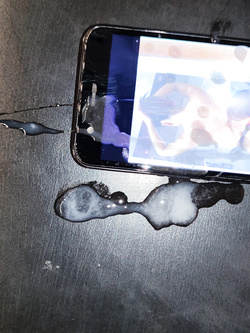 Tributo a moglie troia