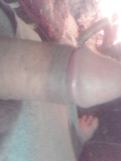 Max71 Parte 8