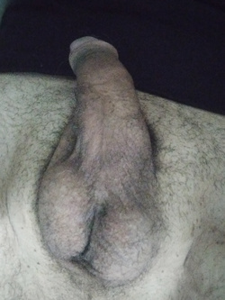 Vi piace?