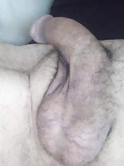 Vi piace?