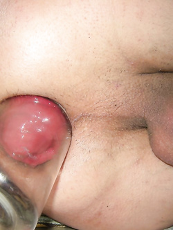 roselline ,rose , o prolassi... come volete voi....:)