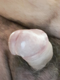 Il mio bel cazzo Parte 3