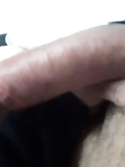Il mio cazzo