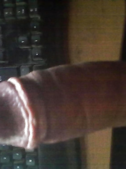 Il mio cazzo