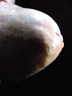 Album 1 - panoramica di un uomo di mezza età