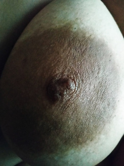 MignottaBBW/Pictures 4