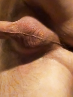 Il cazzo bagnato, un po' di culo e varie.