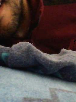eccomi Parte 16