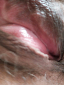 LA TROIA DI MIA MOGLIE