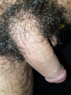 Il mio cazzo 2