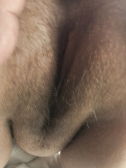 la mia porcellina