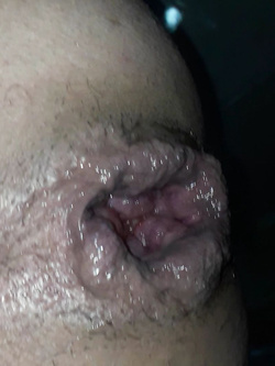 muntain ass