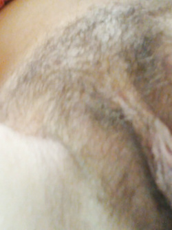 Una Porca