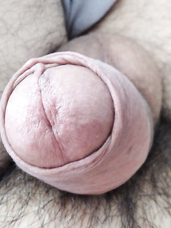 La mia cappella bagnata