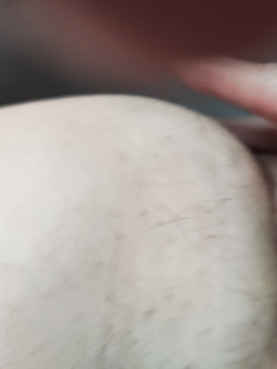 Incontro pomeridiano