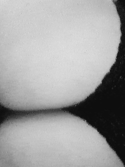 Amante